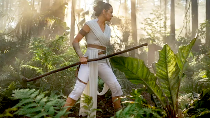 tros-rey-jungle.png